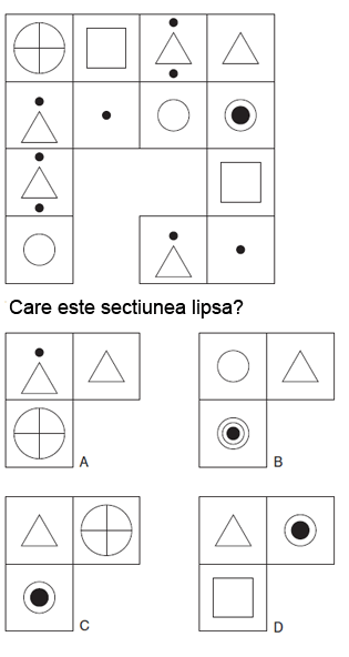 Care sectiune lipseste?